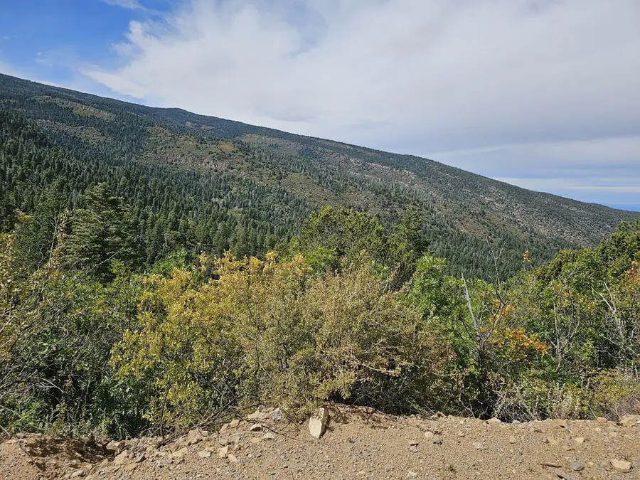 18 Canon Escondido Place, Sandia Park, NM 87047 - #2