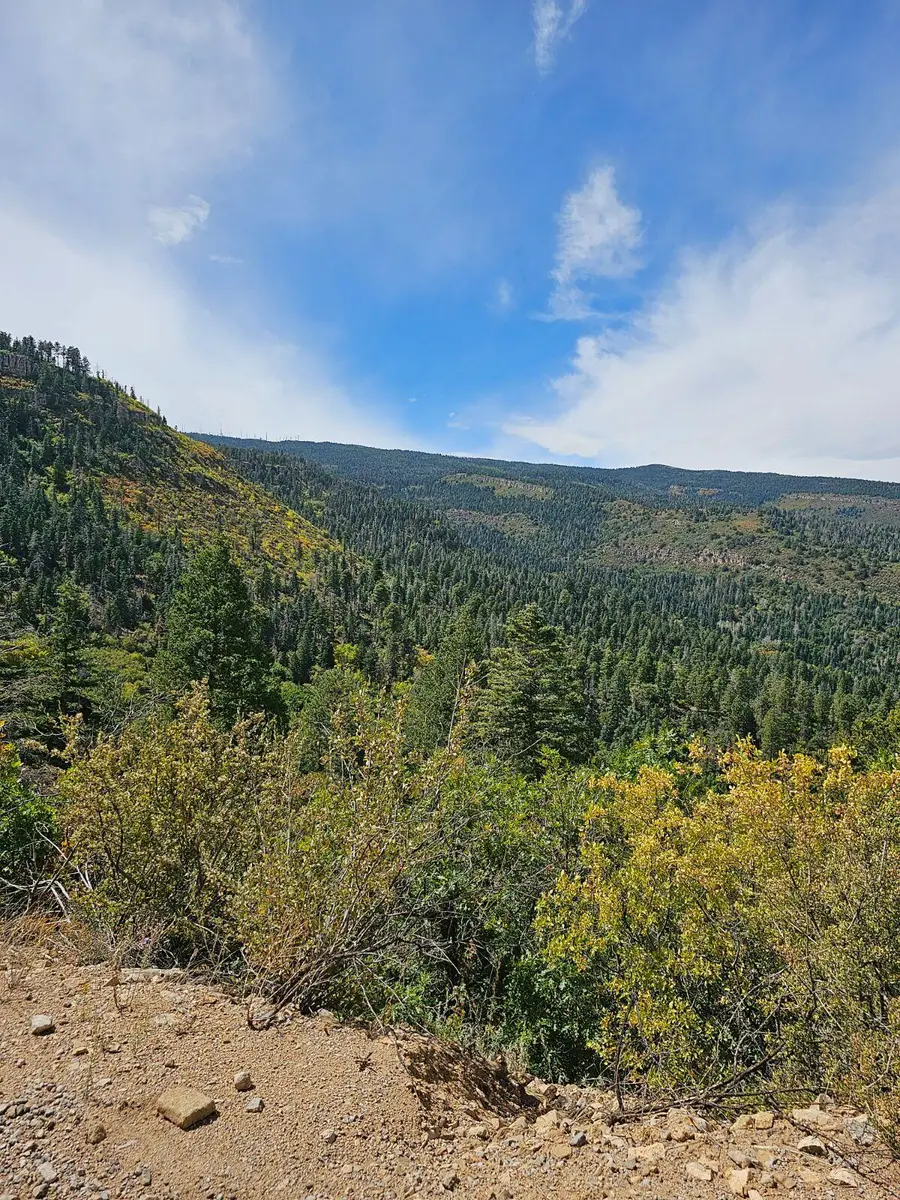 18 Canon Escondido Place, Sandia Park, NM 87047 - #3