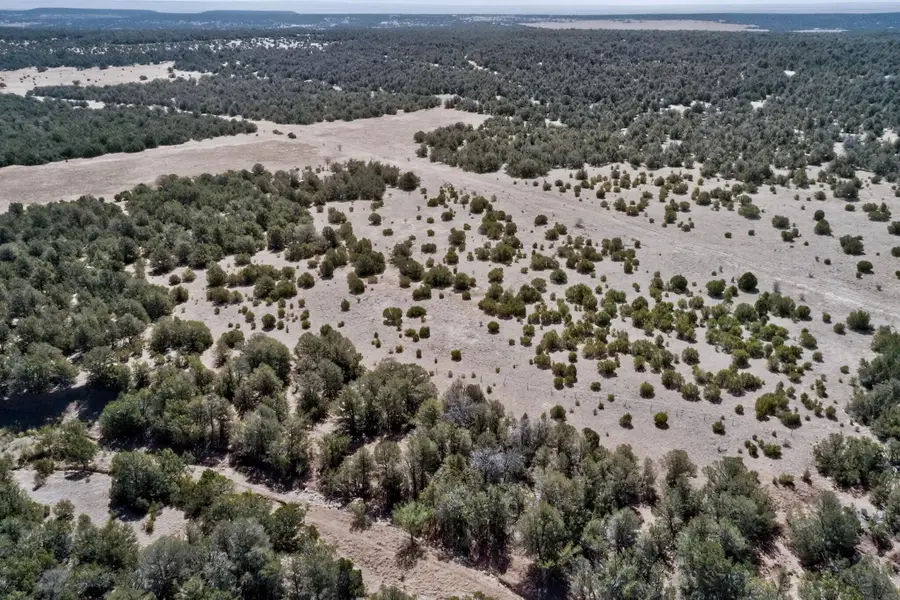 N/A Old Chilili Rd., Tijeras, NM 87059 - #3