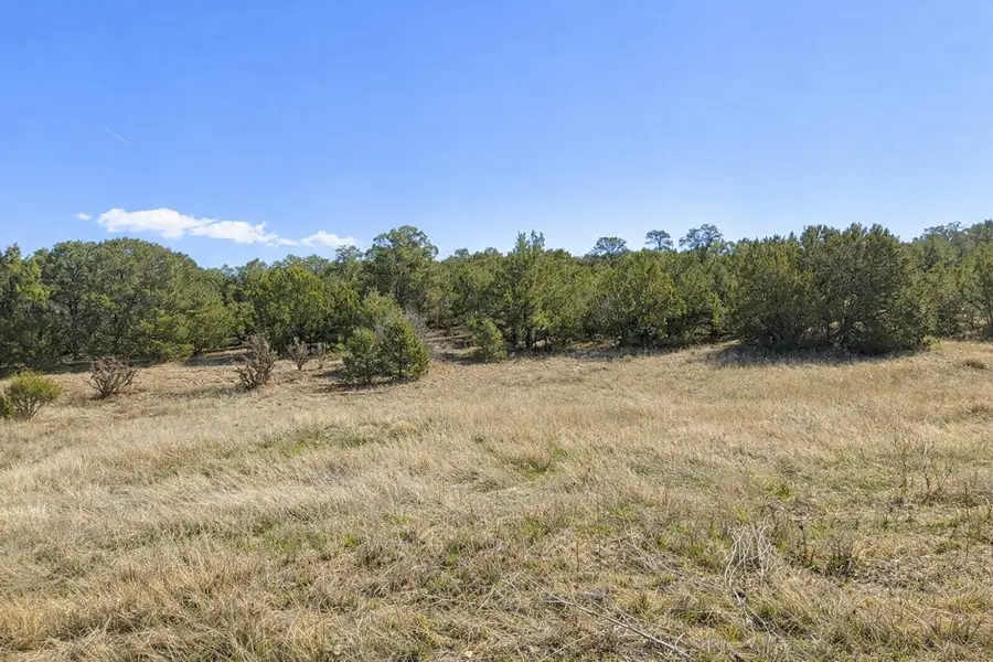 75 Via Sedillo Road, Tijeras, NM 87059 - #2