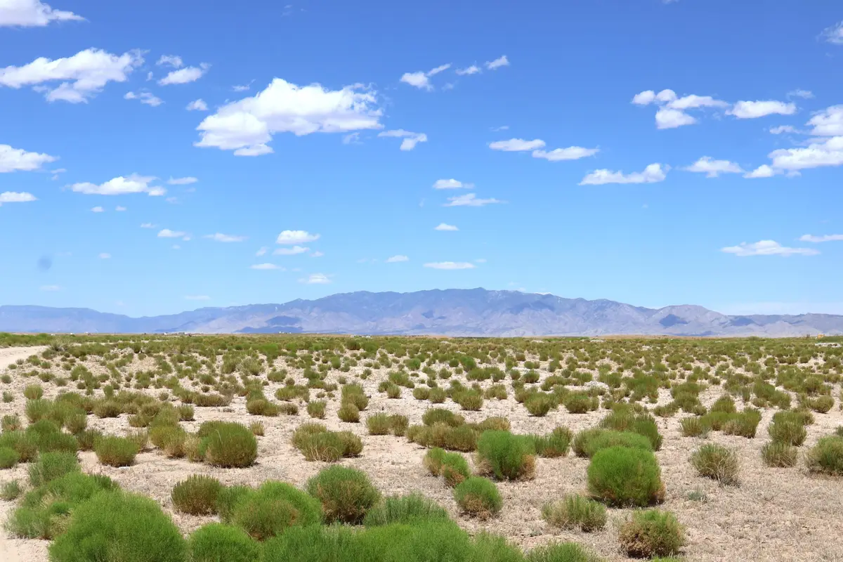 Lot 7 & 8 Rio Grande Estates, Veguita, NM 87062 - #1