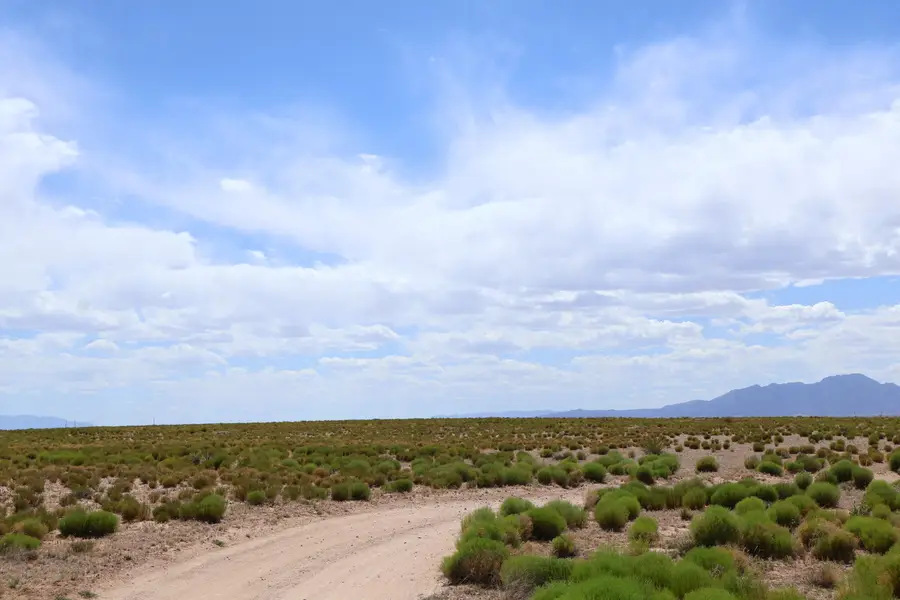 Lot 7 & 8 Rio Grande Estates, Veguita, NM 87062 - #3