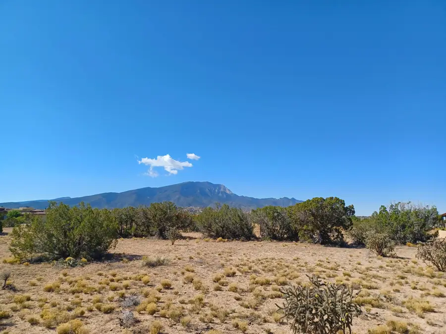 Palomino Road, Placitas, NM 87043 - #3