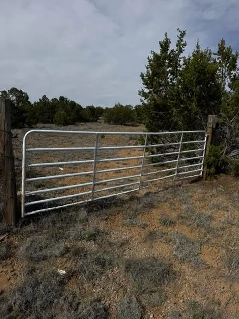 113 Rockhouse Road, Ramah, NM 87321 - #2