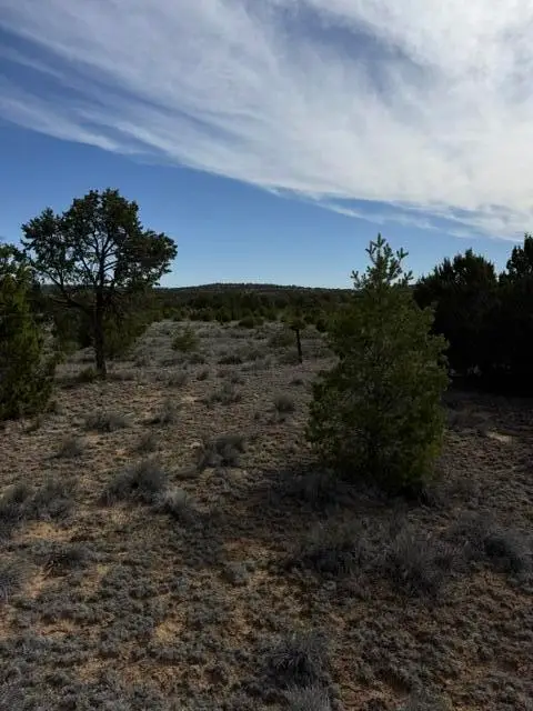 113 Rockhouse Road, Ramah, NM 87321 - #3