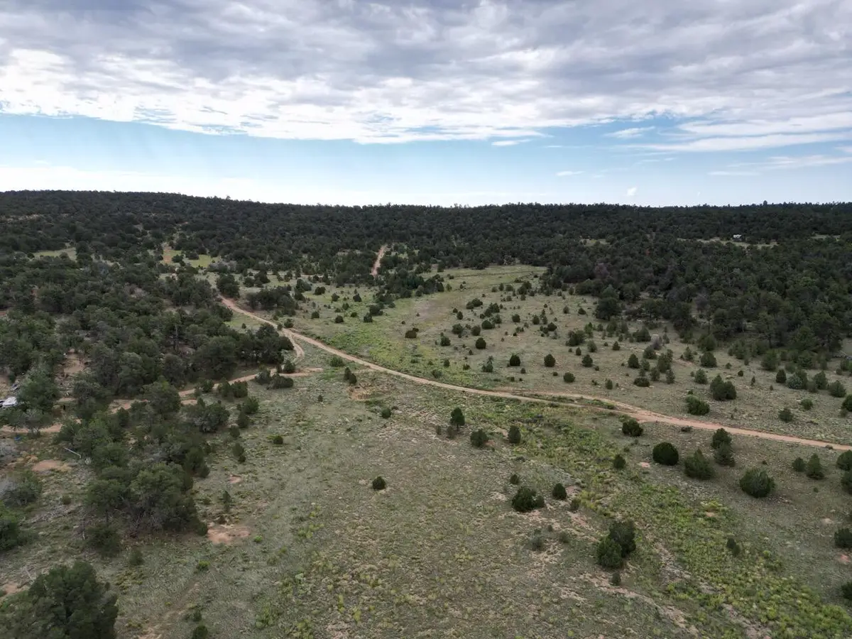 Lot 14 Candy Kitchen Road, Ramah, NM 87321 - #1