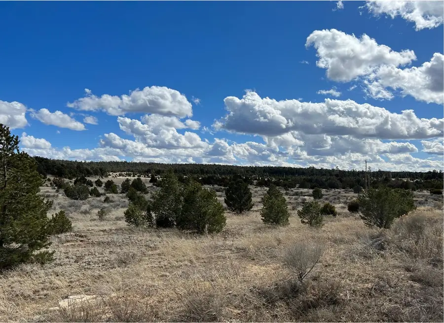 Lot 14 Candy Kitchen Road, Ramah, NM 87321 - #2