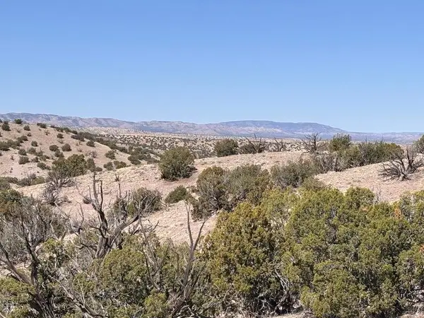 Lot 124 Abbe Springs, Magdalena, NM 87825