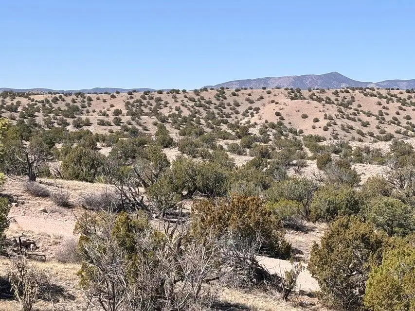 Lot 124 Abbe Springs, Magdalena, NM 87825 - #2