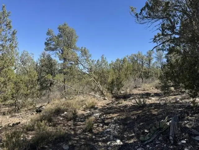 Fire Break Road, Edgewood, NM 87015 - #2