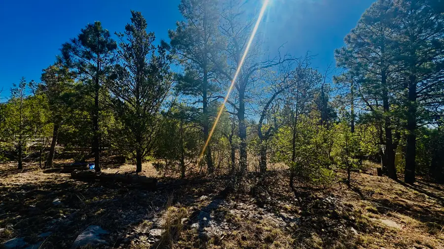7889 Zuni Cyn Road, Grants, NM 87020 - #2