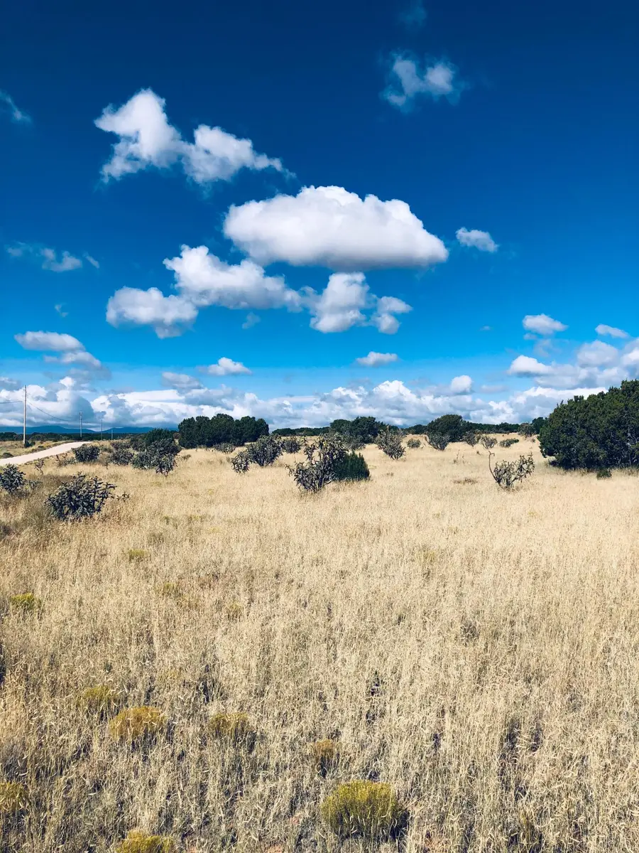 Mission Hills Lot 10, Estancia, NM 87016 - #2