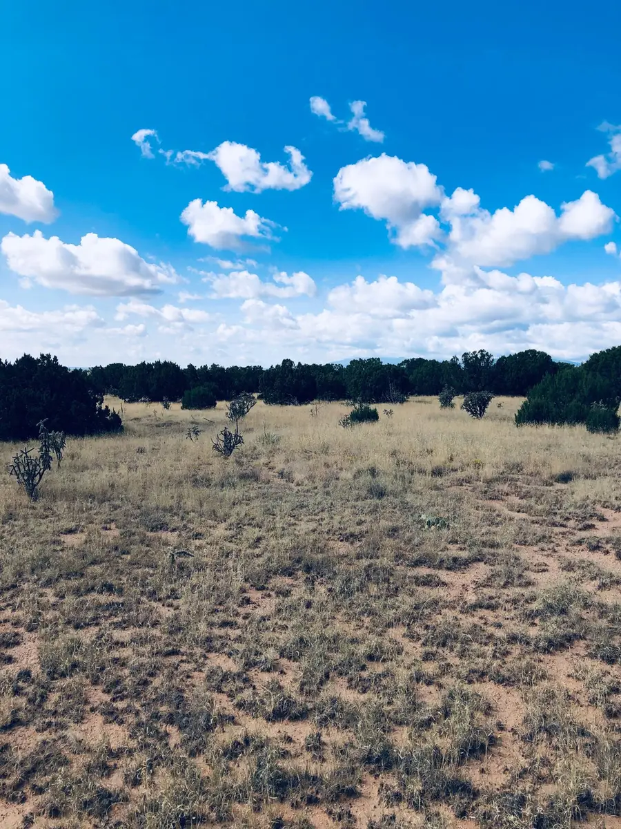Mission Hills Lot 10, Estancia, NM 87016 - #3