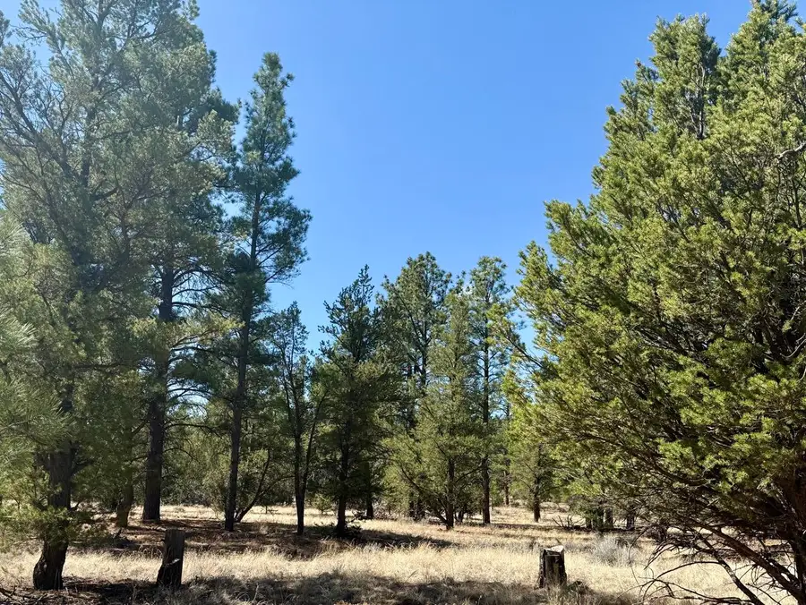 823 Timberlake Road, Ramah, NM 87321 - #2
