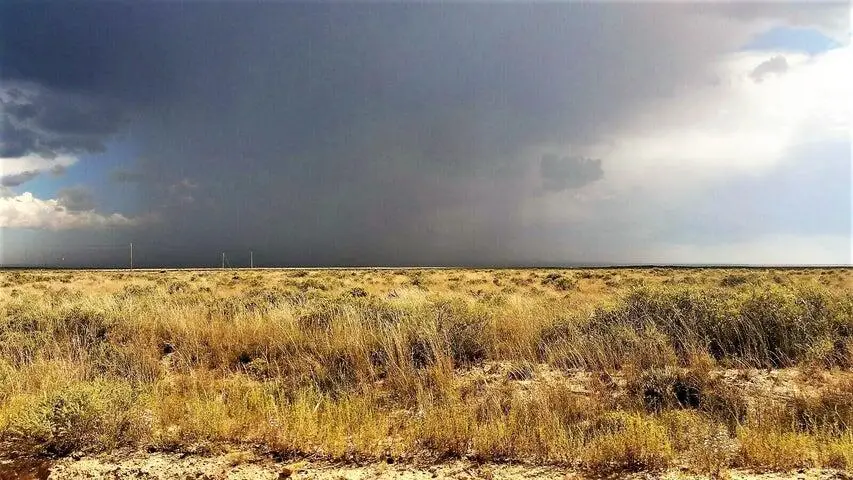 Palomino Drive, Lot 3, Moriarty, NM 87035 - #2