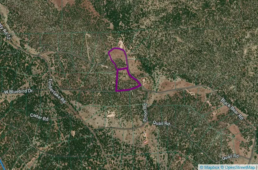 Lots 5 & 6 Black Bear Road, Ramah, NM 87321 - #2