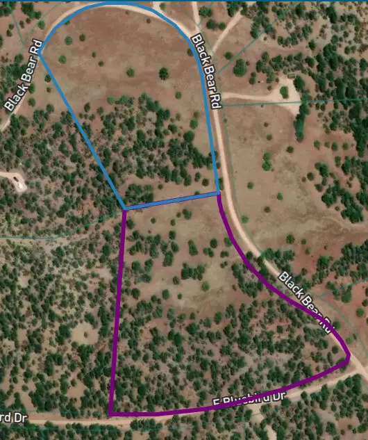 Lots 5 & 6 Black Bear Road, Ramah, NM 87321 - #3