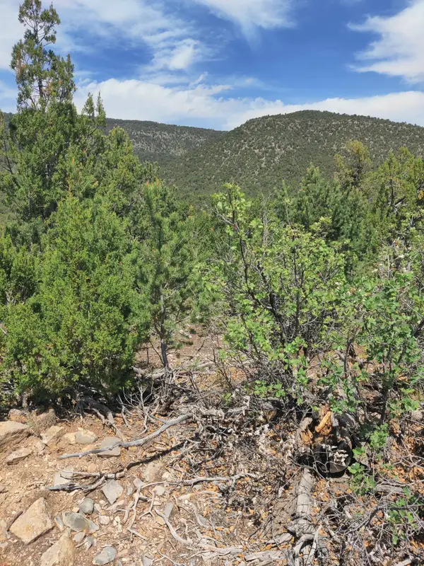 Skyline Lot 14 Place, Sandia Park, NM 87047