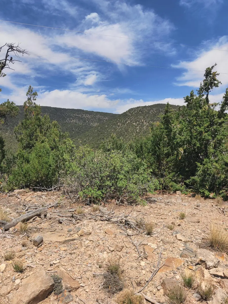 Skyline Lot 14 Place, Sandia Park, NM 87047 - #2