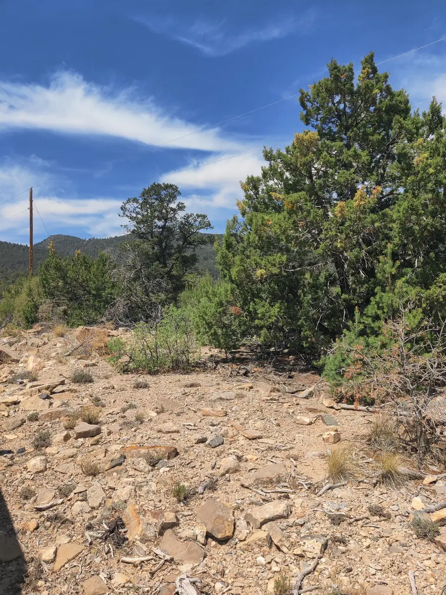 Skyline Lot 14 Place, Sandia Park, NM 87047 - #3