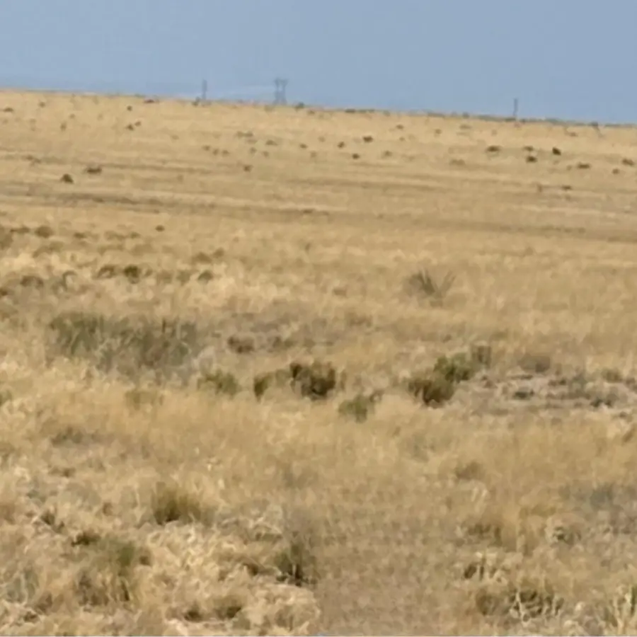 Lot 4D W Mora Dr #2, Rio Communities, NM 87002 - #3