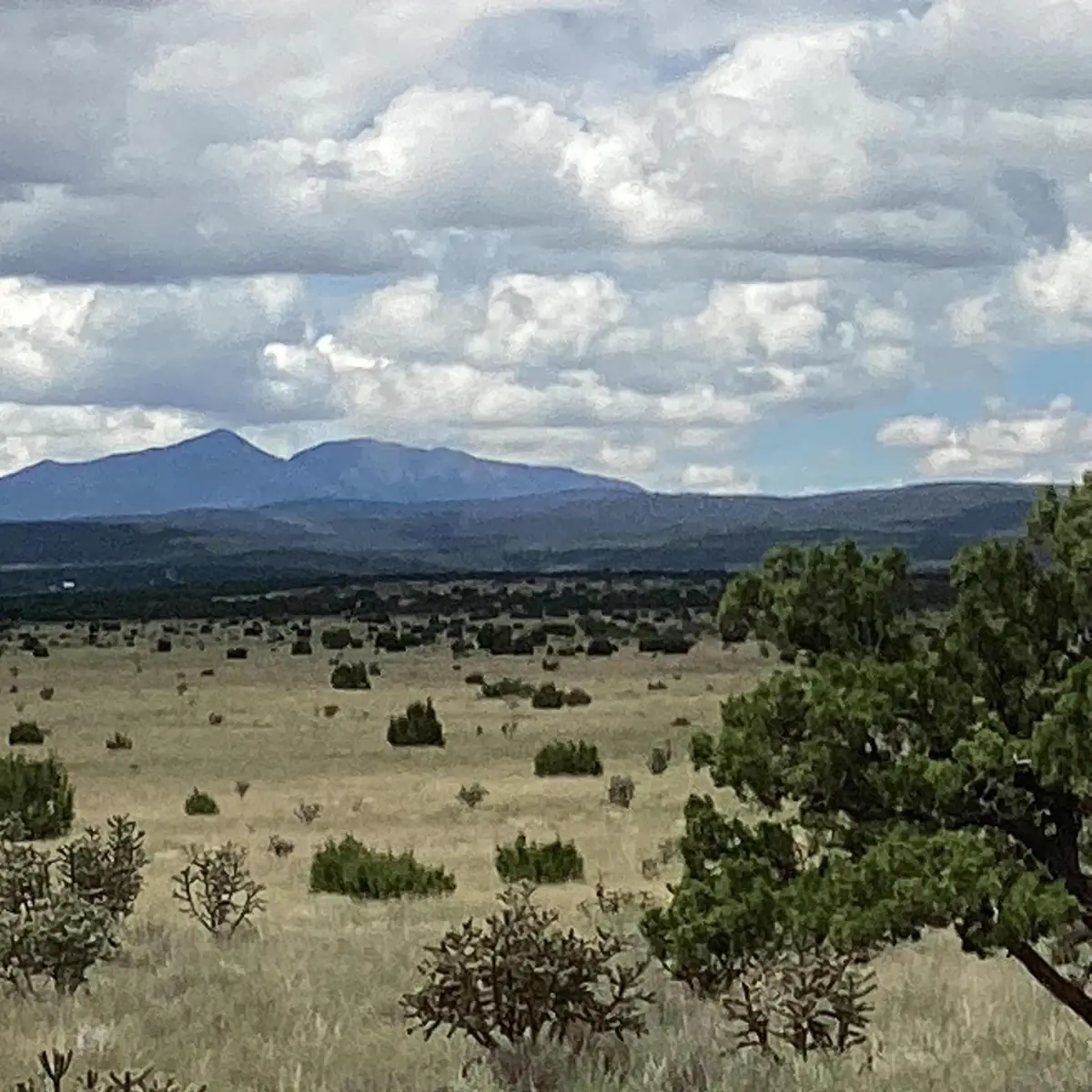 County Road A052, Estancia, NM 87016 - #1