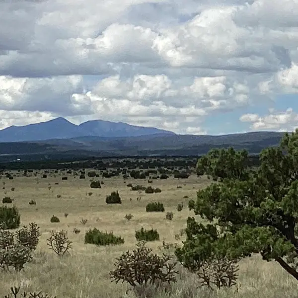 County Road A052, Estancia, NM 87016