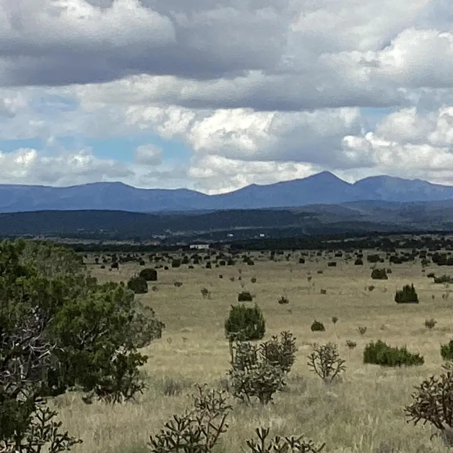 County Road A052, Estancia, NM 87016 - #2