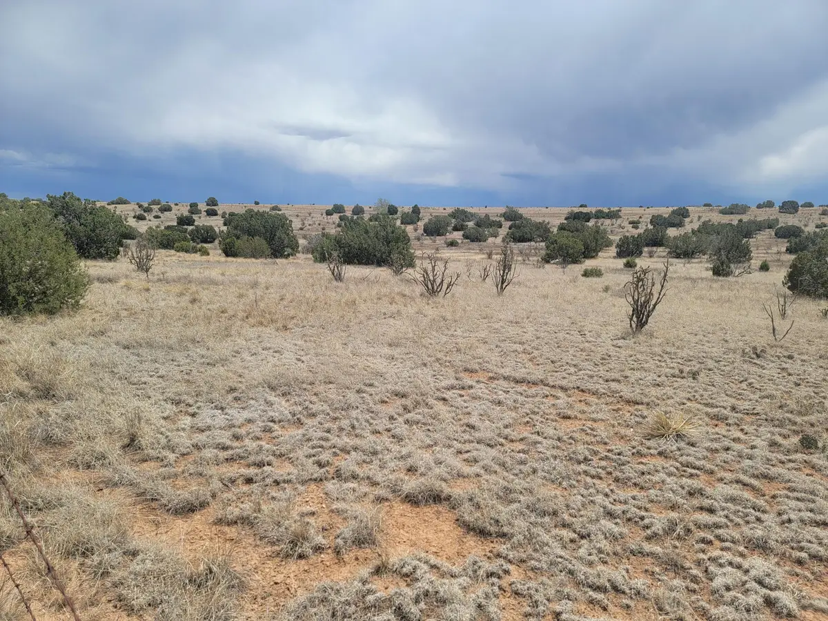 Address Withheld By Seller, Edgewood, NM 87015 - #1