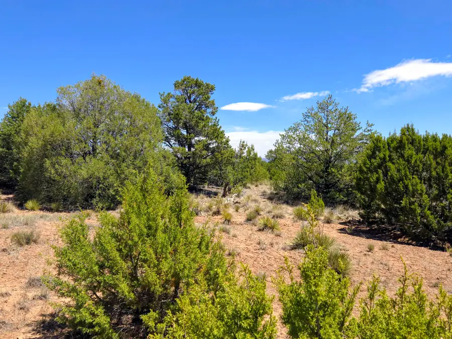 0 High Sierra, Sandia Park, NM 87047 - #2