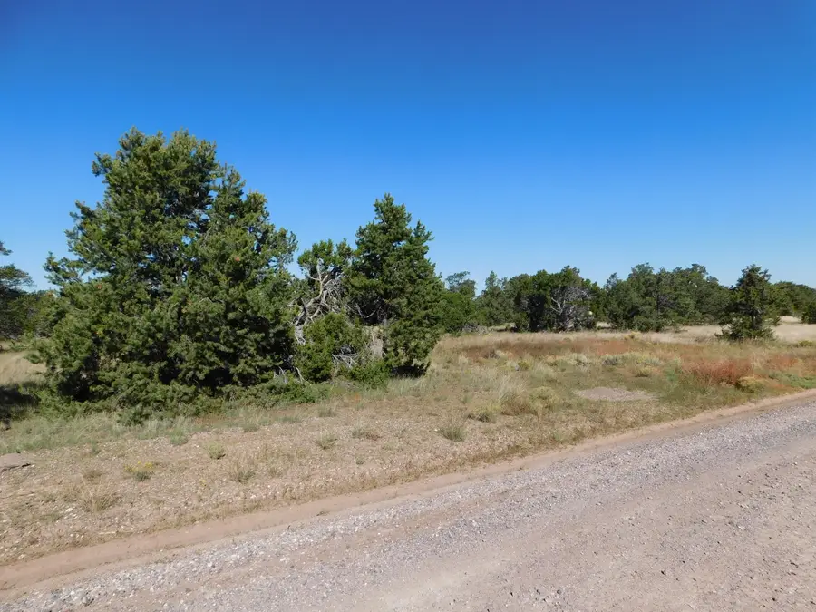 43 Brook Boulevard, Quemado, NM 87829 - #2