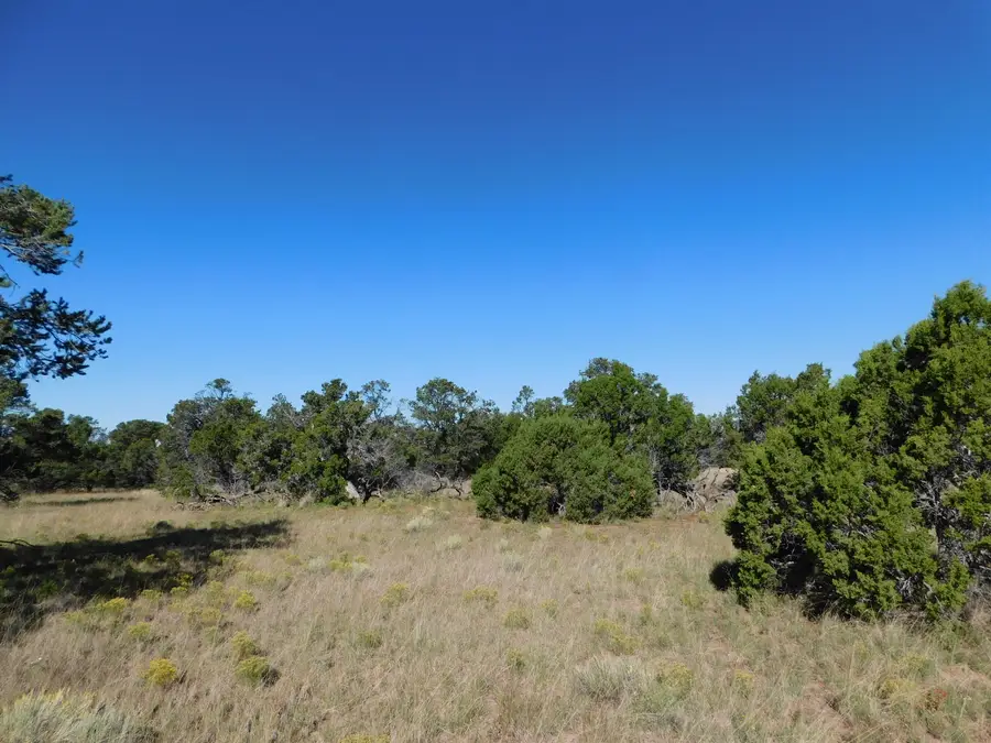 43 Brook Boulevard, Quemado, NM 87829 - #3