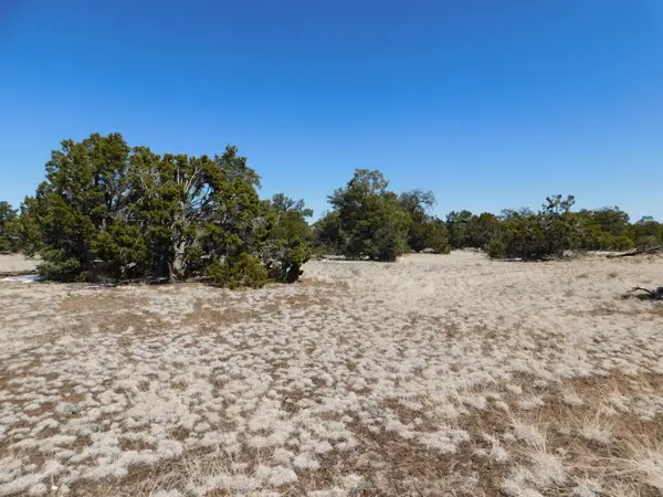 Lot 26 Spring Canyon Cir, Quemado, NM 87829