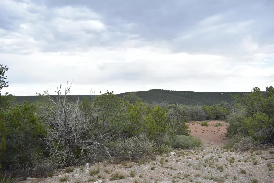 184 Sunlight Road, Edgewood, NM 87015 - #2