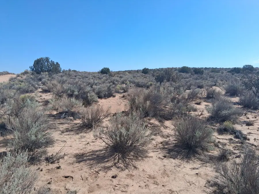 0 Overidge Road Ne, Rio Rancho, NM 87144 - #2