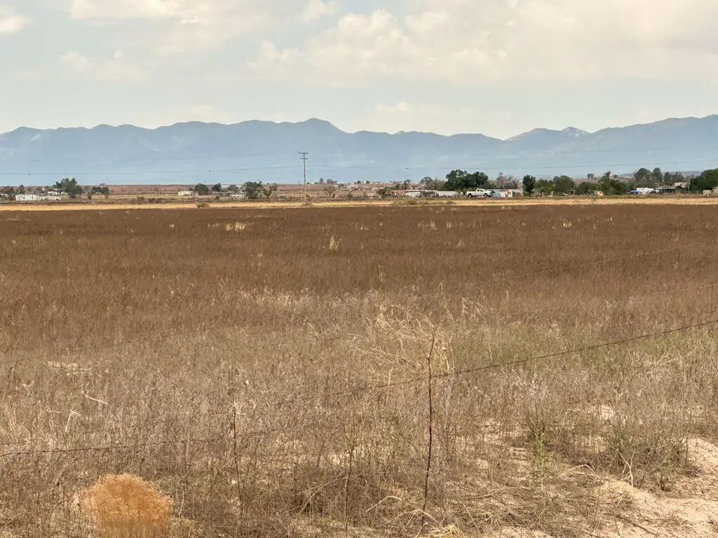47 Ice Plant Road, Estancia, NM 87016 - #1