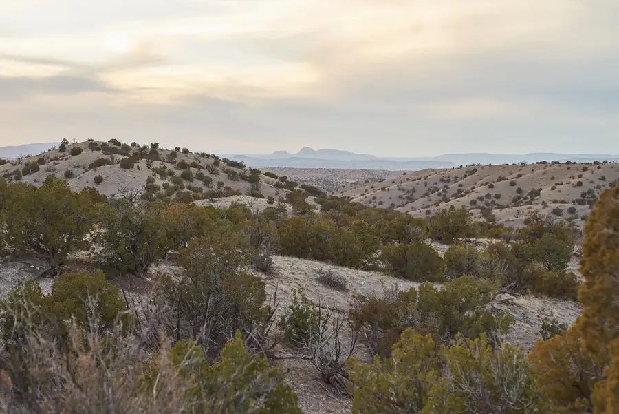 Abbe Springs Ranches Lot 115, Magdalena, NM 87825 - #2