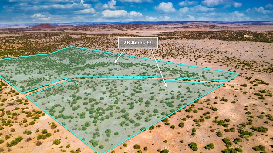 E Red Hill Drive, Quemado, NM 87829 - #2