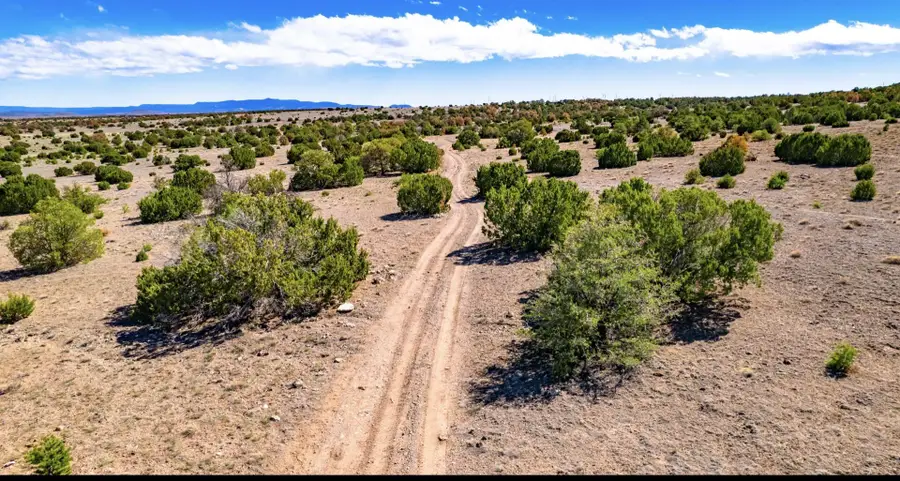 E Red Hill Drive, Quemado, NM 87829 - #3