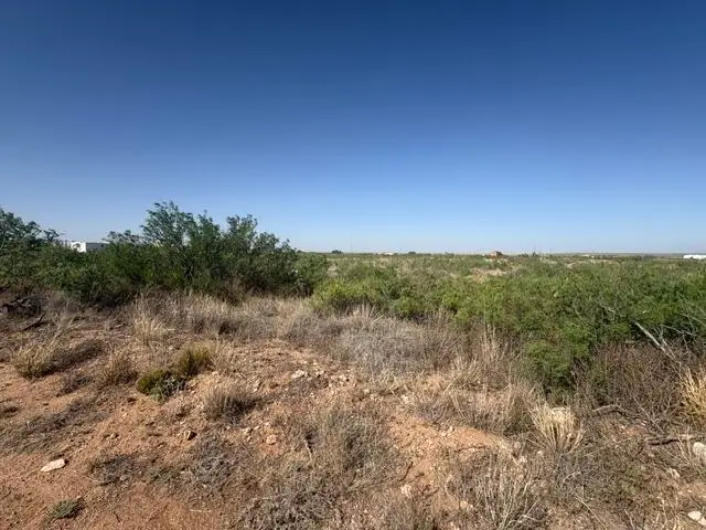 Lot 48 State Road 203, Lake Sumner, NM 88119 - #2