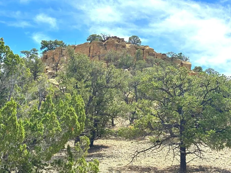 Lot 4 Slurry Rd, Pie Town, NM 87827 - #2