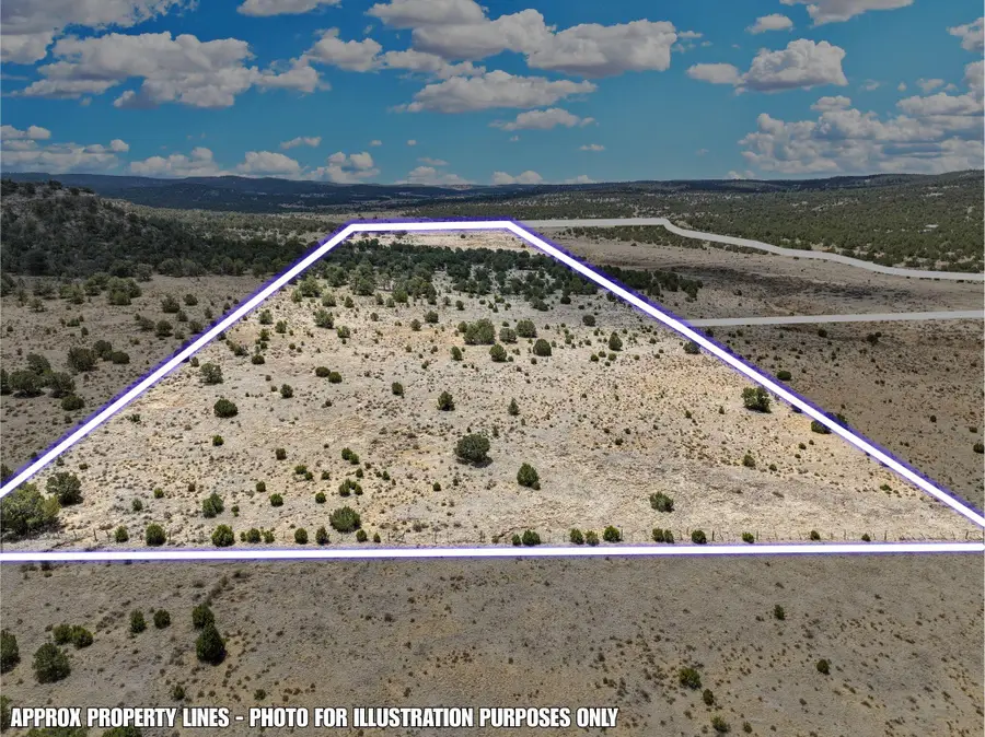 Lot 4 Slurry Rd, Pie Town, NM 87827 - #3