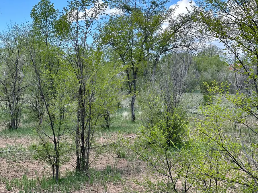 412 S Grand Avenue, Las Vegas, NM 87701 - #2