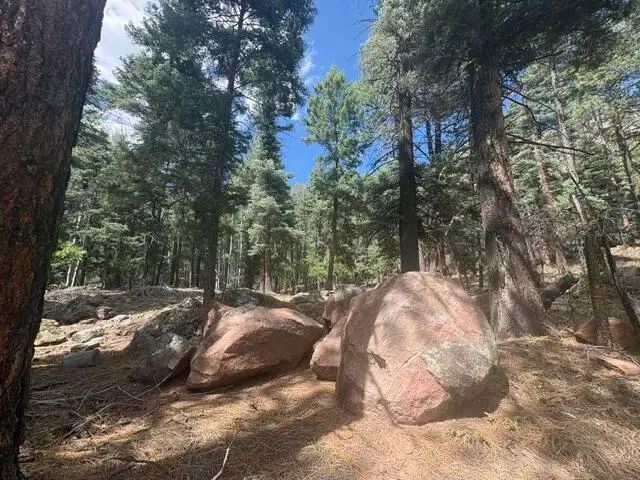 30 Brazos Lodge Estates, Chama, NM 87520 - #1