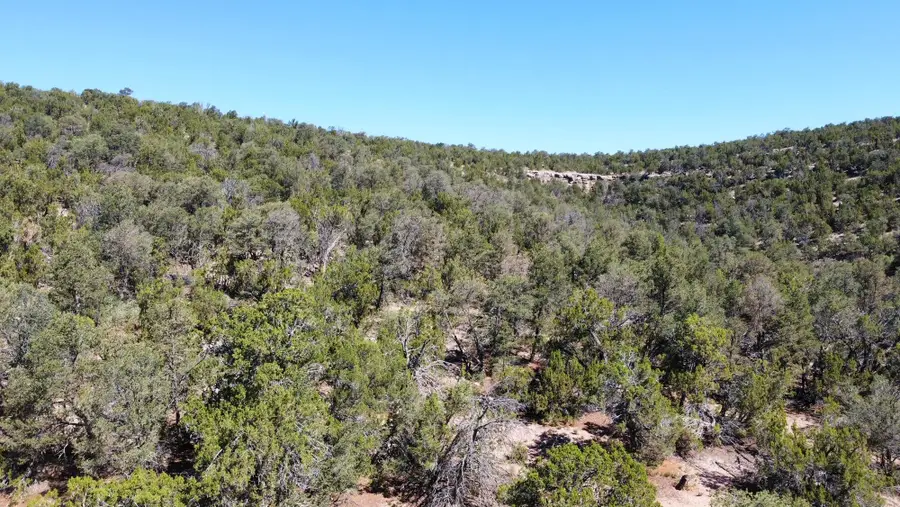 Mountain Valley Drive, Edgewood, NM 87015 - #3