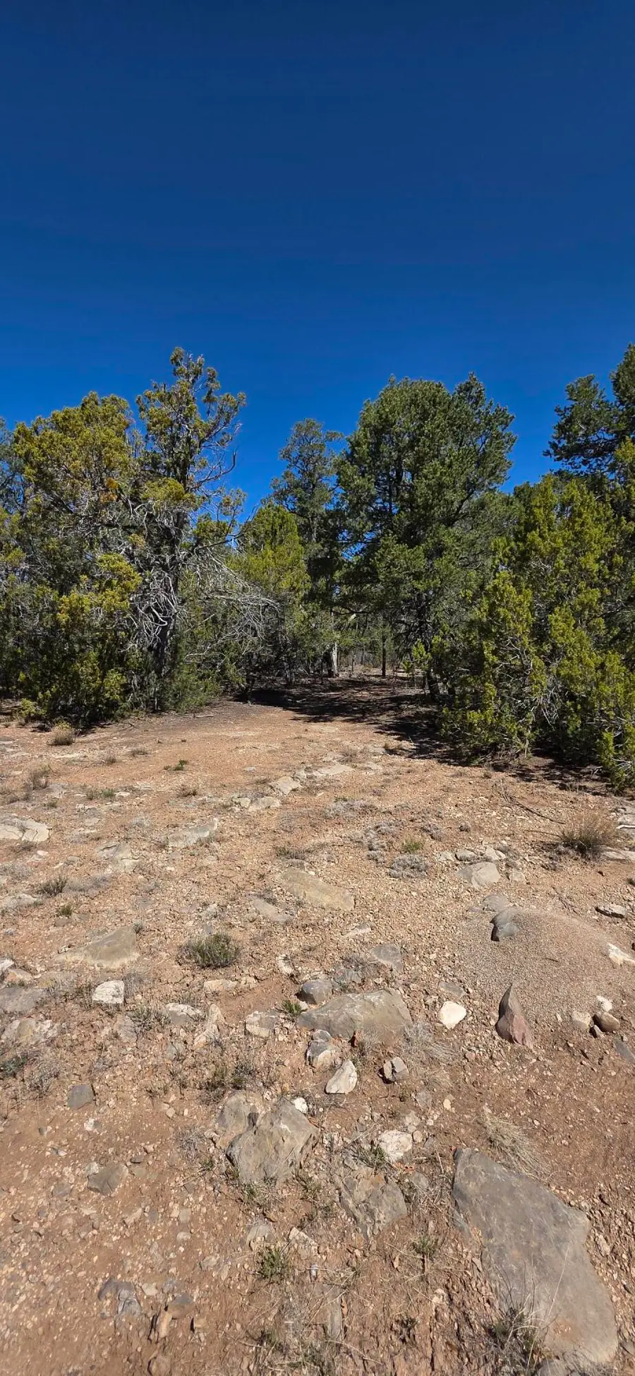 Chico Road #R015120, Edgewood, NM 87015 - #3