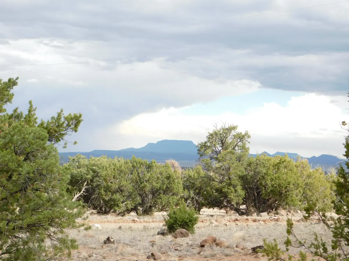 LOT 217 Squaw Pass, Quemado, NM 87829 - #1