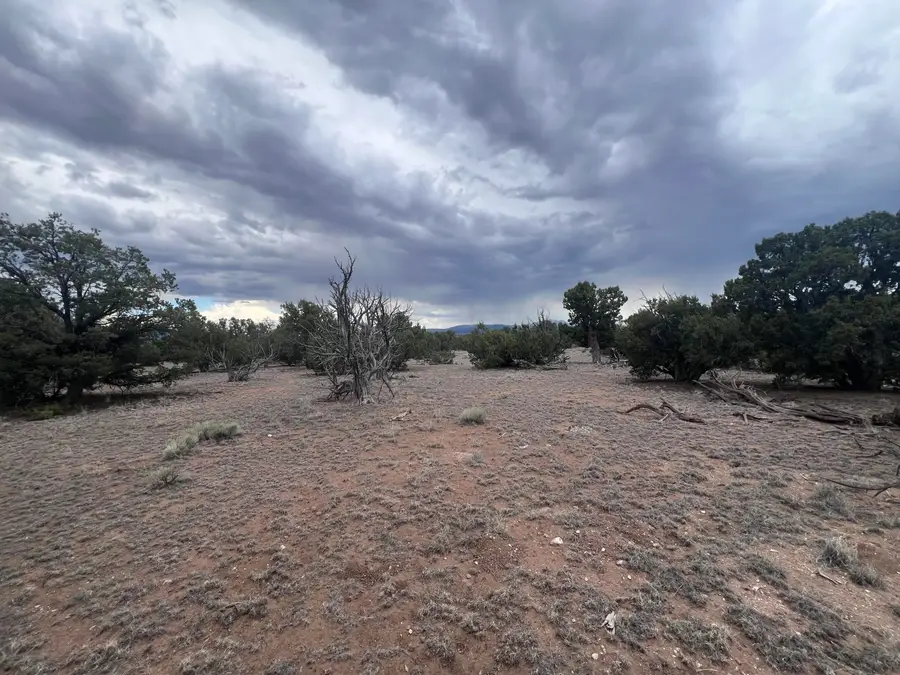 LOT 217 Squaw Pass, Quemado, NM 87829 - #2