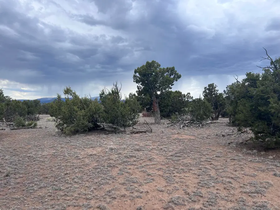 LOT 217 Squaw Pass, Quemado, NM 87829 - #3
