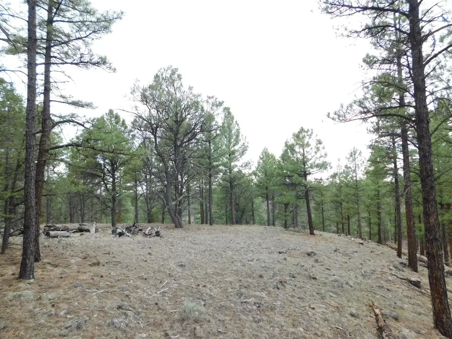 S2 Leon Dr, Quemado, NM 87829 - #2